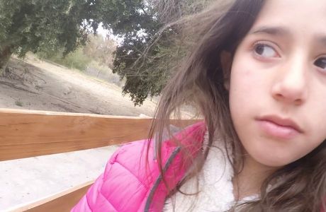 Olivo Cuatricentenario