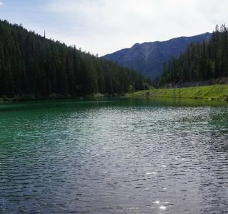 Olive Lake
