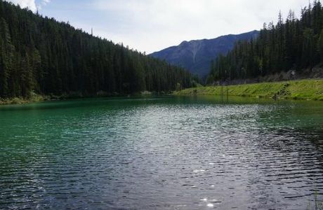 Olive Lake