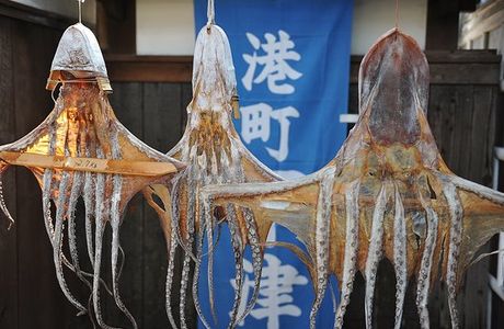 Old Shimotsui Tonya Museum