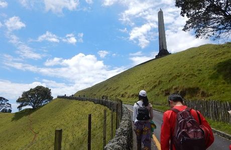 One Tree Hill (Maungakiekie)
