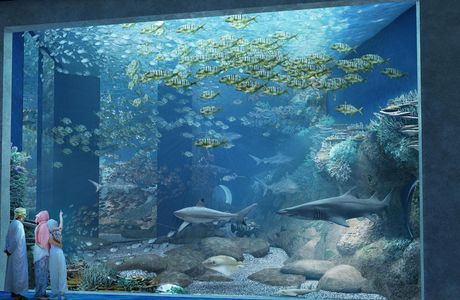 Oman Aquarium