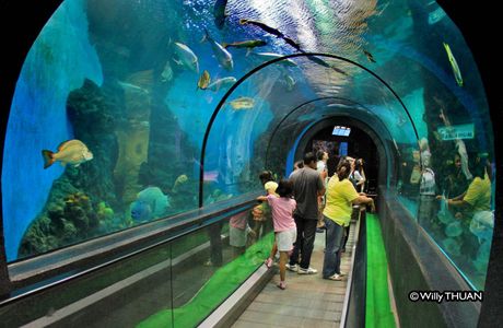 Phuket Aquarium