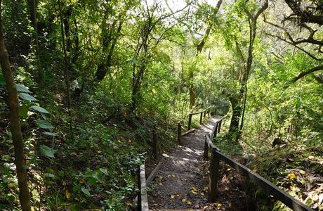 Parque Nacional Ciervo de los Pantanos