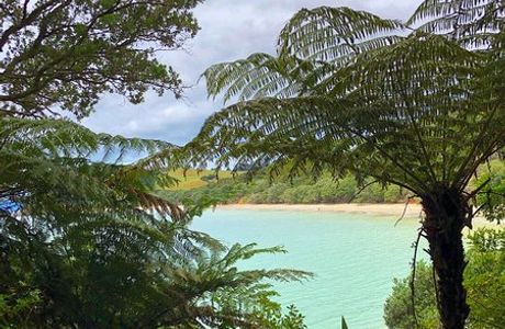 Tawhitokino Regional Park