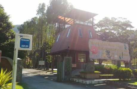 Teluk Bahang Forest Eco Park