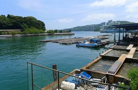 Toba Pearl Town