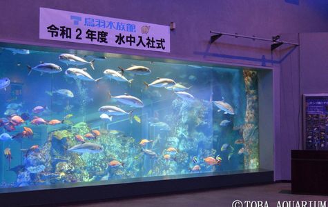Toba Aquarium 1