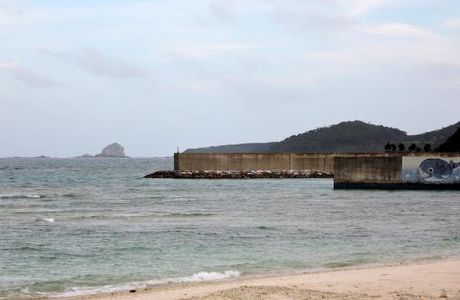 Tonbara