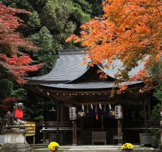 Tomi Shrine