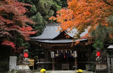 Tomi Shrine