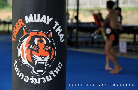Tiger Muay Thai And MMA Training Camp, Chiang Mai