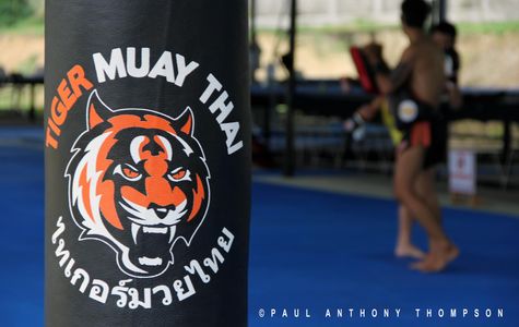 Tiger Muay Thai And MMA Training Camp, Chiang Mai 1