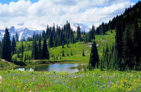 Tipsoo Lake Loop