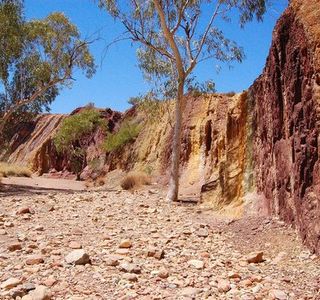 Tjoritja/West MacDonnell National Park