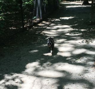 Timber Creek Park
