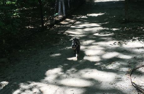 Timber Creek Park