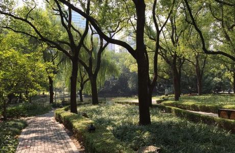 Trees Park