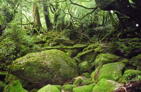 Shiratani Unsuikyo Valley