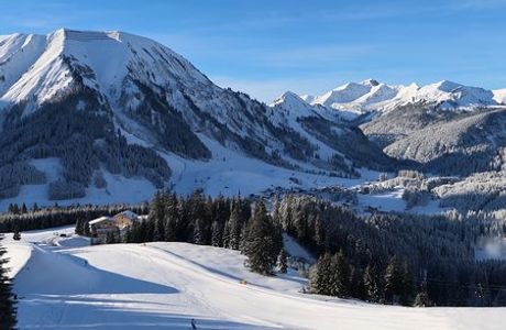 Skischaukel Bergwang