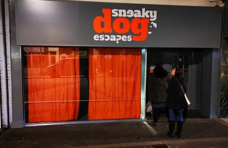 Sneaky Dog Escapes