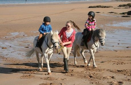 Seacliff Stables