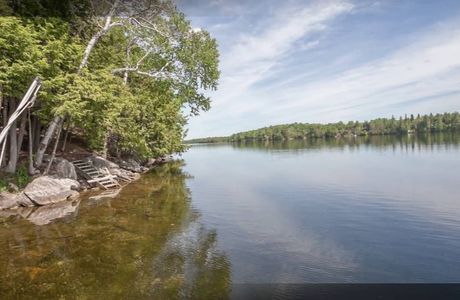 Sharbot Lake Beach