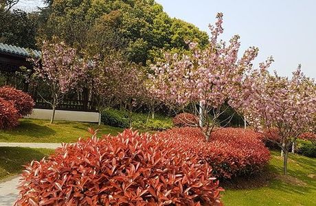 Shenshan Park