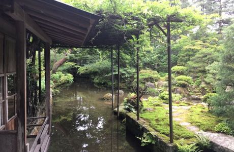 Sekisenso