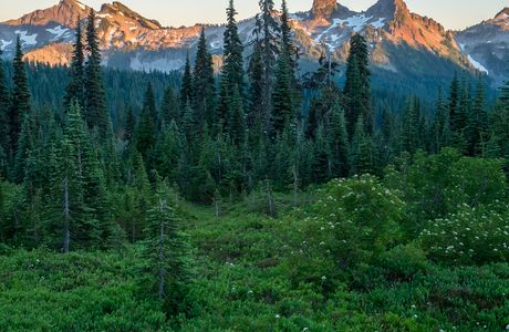 Sunbeam Creek
