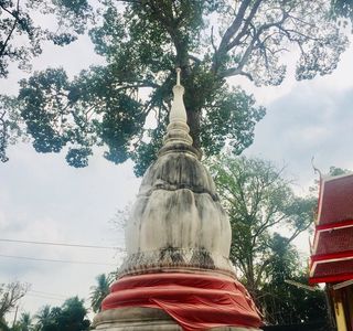 Wat Sao Thong Thong