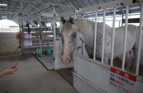 Uruma Farm