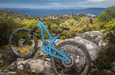Vertigo MTB Tasmania