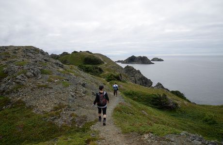Twillingate Islands Coastal Trails