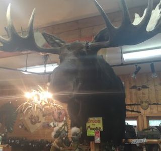 Twisted Pine Fur & Leather Co