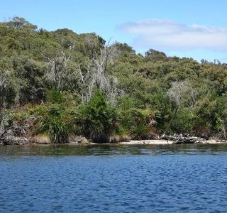 Walpole-Nornalup Inlet