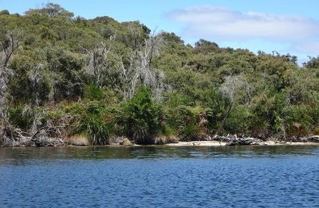 Walpole-Nornalup Inlet