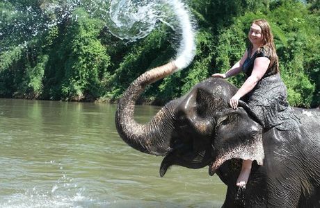 Wangpo Elephant Camp