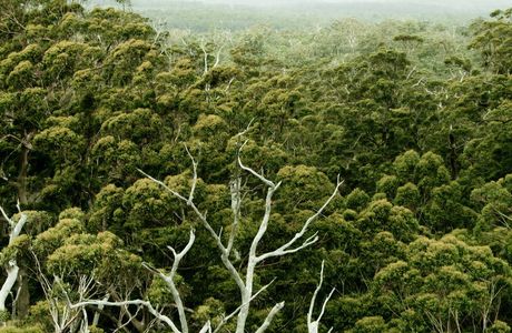 Warren National Park