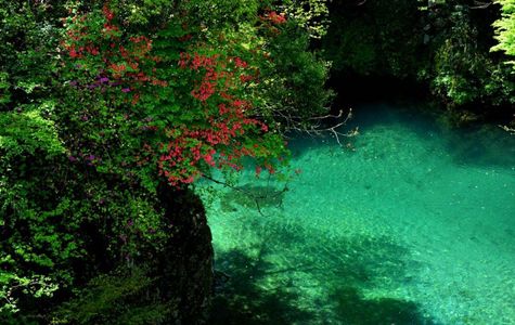 Niyodo River 1