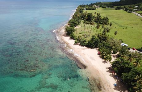 Tres Palmas Marine Reserve