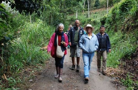 Parque Nacional Tatama