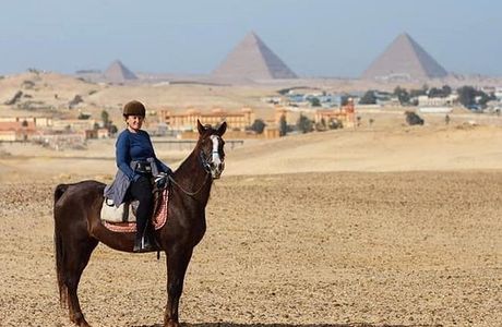 Cairo Horse Riding School