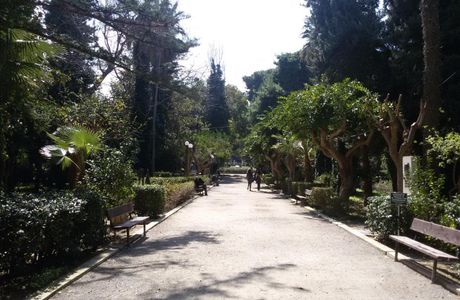 Municipal Garden