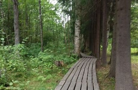 Path of Nature