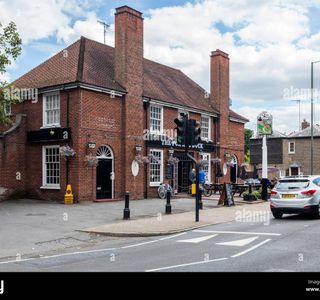 Fox and Duck Petersham