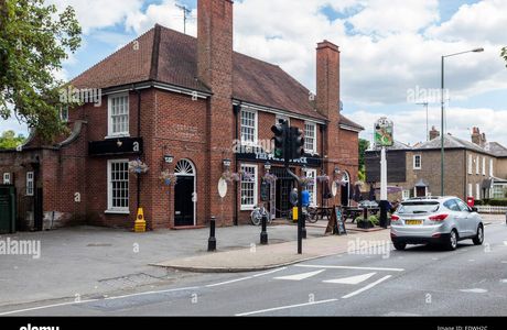 Fox and Duck Petersham