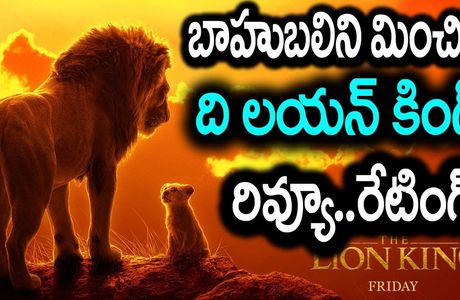 The Lion