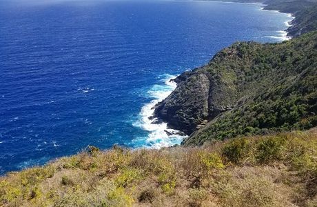 Ham's Bluff