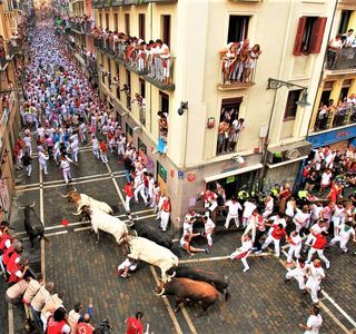 Mirador del Caballo Blanco